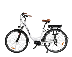 B5 Electric Bike