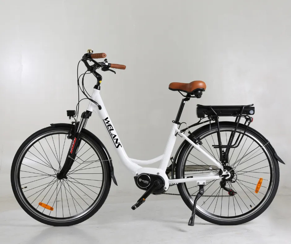 B5 Electric Bike